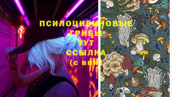 MDMA Premium VHQ Абинск