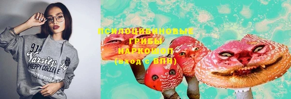 прущий лед Алексеевка